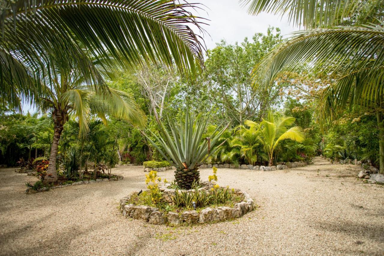 Aldea Jo-Yah Villa Tulum Kültér fotó